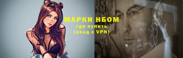 PSILOCYBIN Алзамай