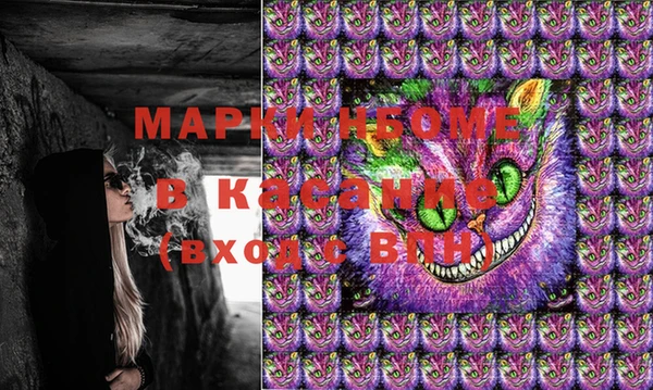 PSILOCYBIN Алзамай