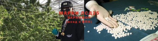PSILOCYBIN Алзамай