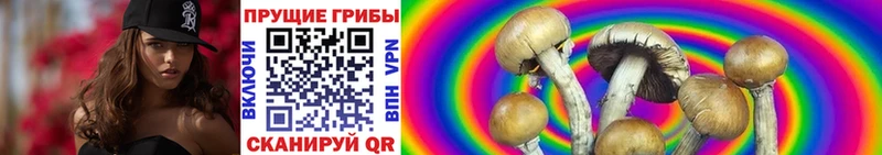 Галлюциногенные грибы GOLDEN TEACHER  мориарти клад  Мостовской 